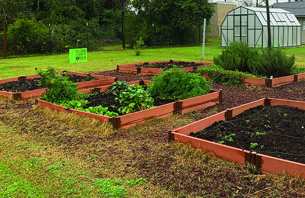 Calhoun County UGA greenhouse