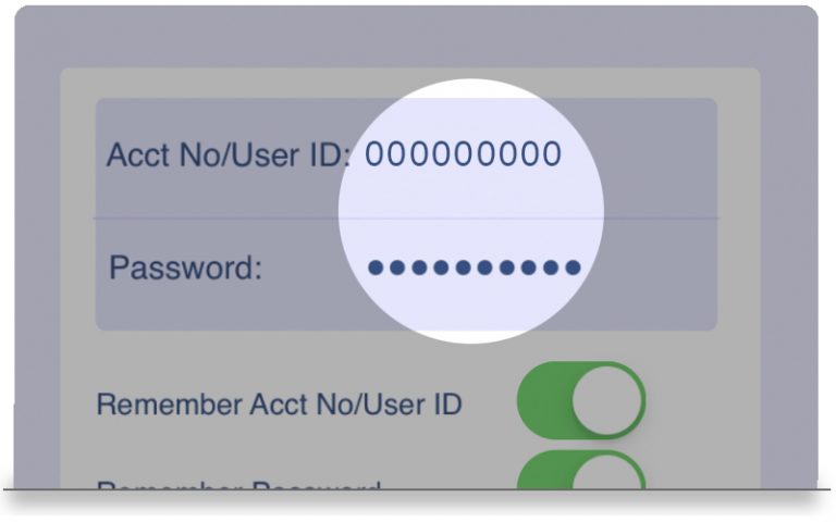 diverse power online bill pay
