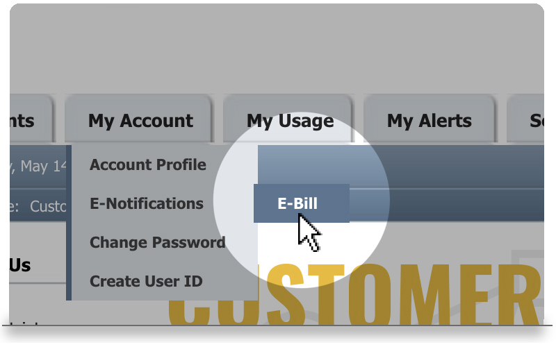 select e-bill image